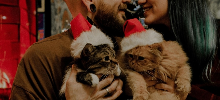 A cozy couple holding two cats wearing tiny Santa hats, surrounded by warm holiday lights and festive decor