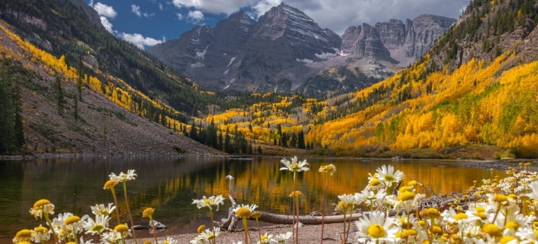 Aspen