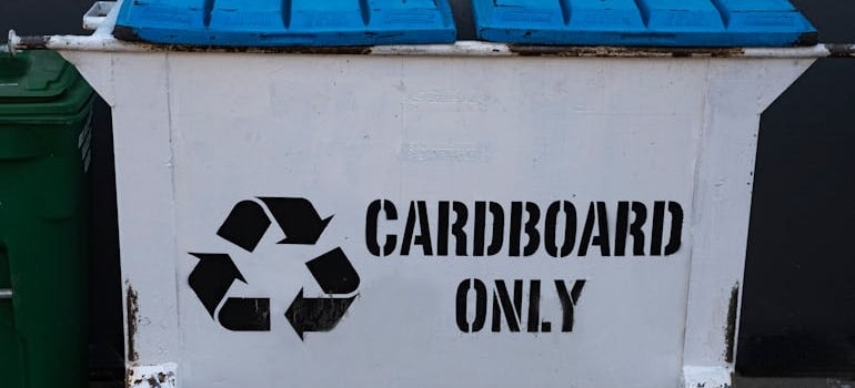 carboard only