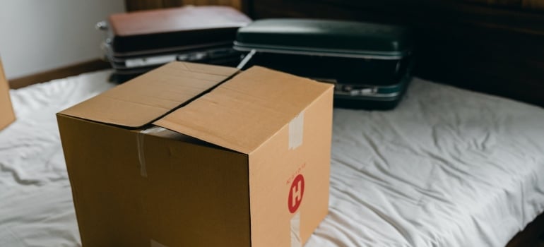A survival box for moving day